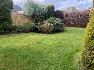 Photo 11- click for photo gallery